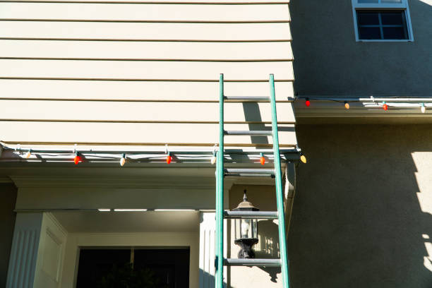 Best Construction Debris Removal  in Rossville, IN