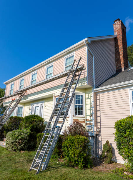 Best Construction Debris Removal  in Rossville, IN