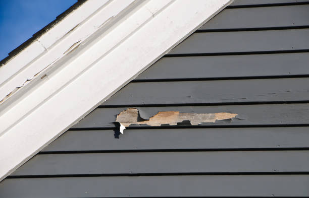 Best Shed Removal  in Rossville, IN