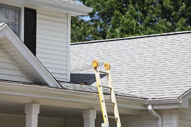 Best Attic Cleanout  in Rossville, IN