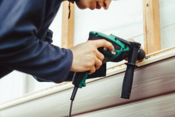 Best Hoarding Cleanup  in Rossville, IN
